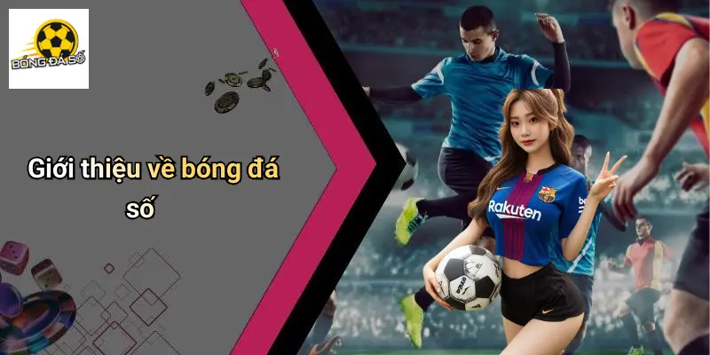 Bóng đá số 67 Bóng Đá Số