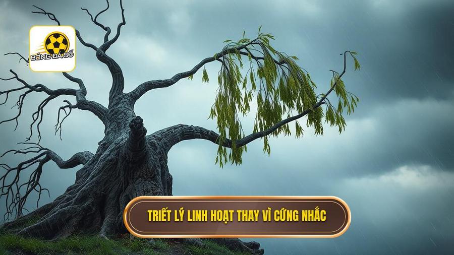 Triết lý cốt lõi: Chiến thắng bằng mọi giá