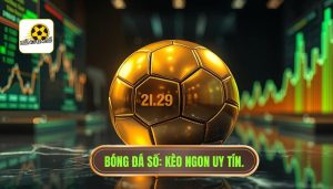 Kèo Ngon Mỗi Ngày Cho Dân Cược - Kinh Nghiệm Soi Kèo Chuẩn 100%